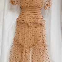 dot mesh dress