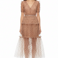dot mesh dress
