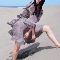 SILK RIBBON DRESS