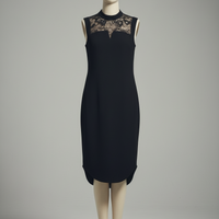 River lace I line dress