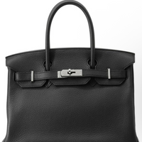 Birkin Togo 30 (シルバー金具)